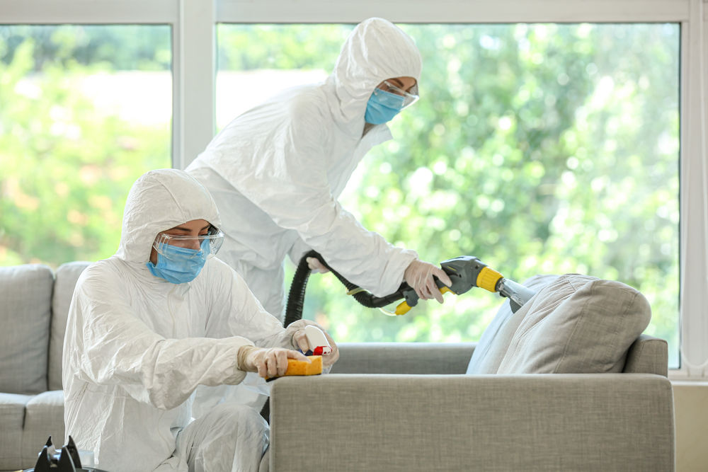 Workers in biohazard costume removing dirt from sofa in house